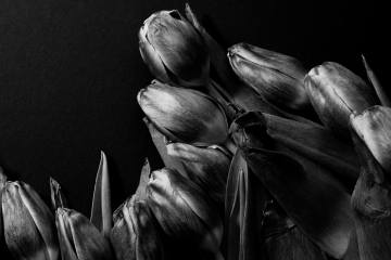 CJKarch_Untitled